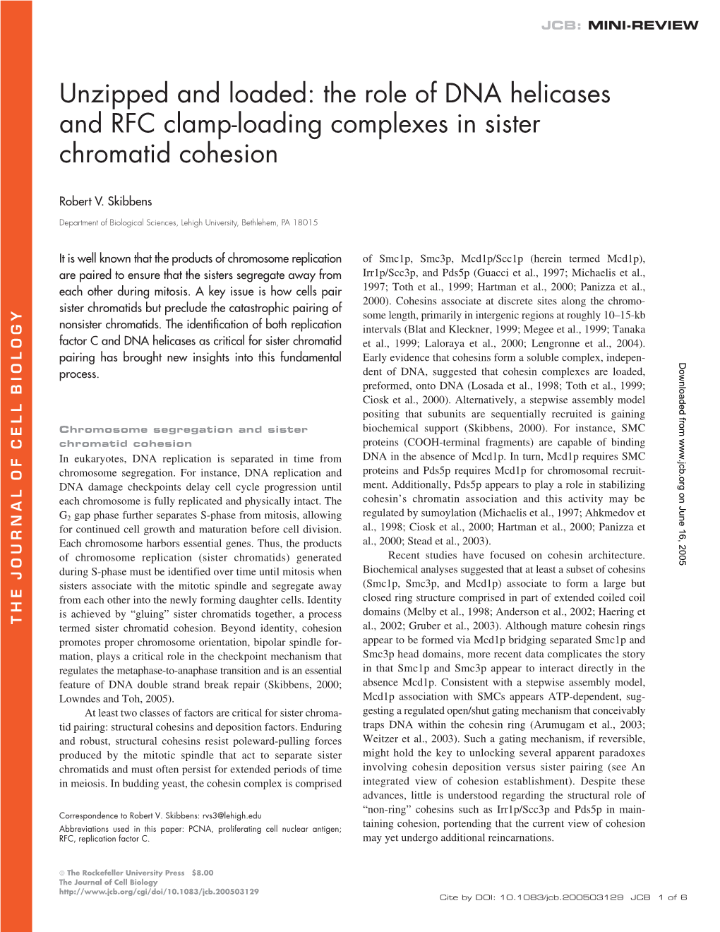 The Role of DNA Helicases and RFC Clamp-Loading Complexes in Sister