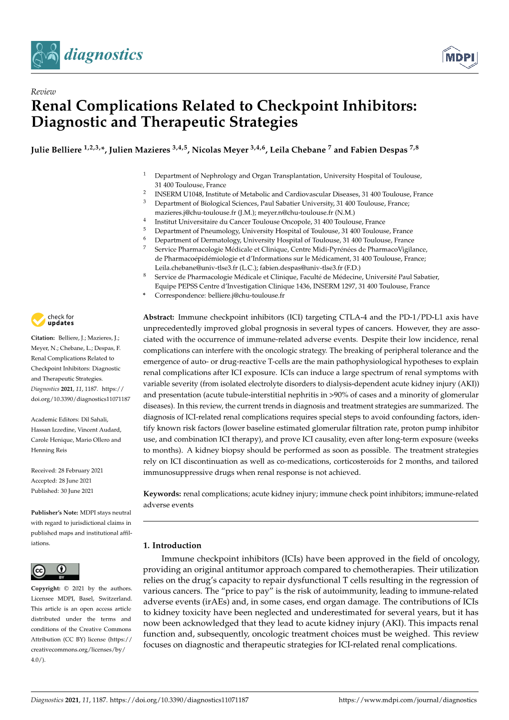 Renal Complications Related to Checkpoint Inhibitors: Diagnostic and Therapeutic Strategies