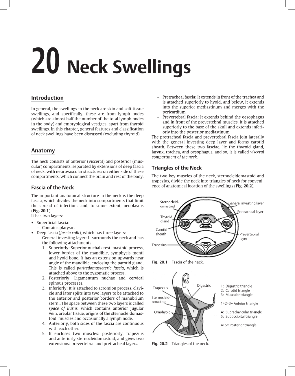 20 Neck Swellings