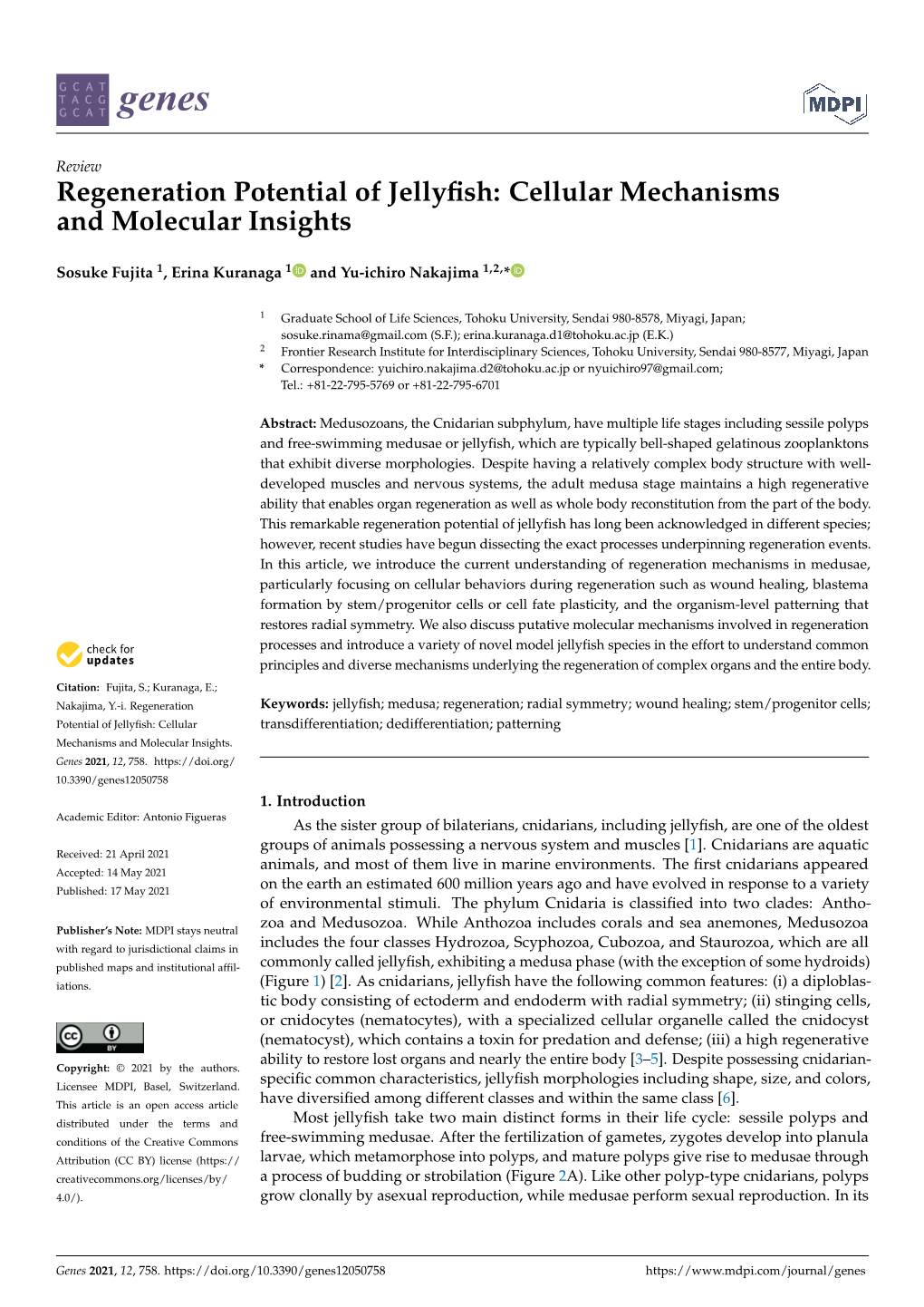 Regeneration Potential of Jellyfish: Cellular Mechanisms And