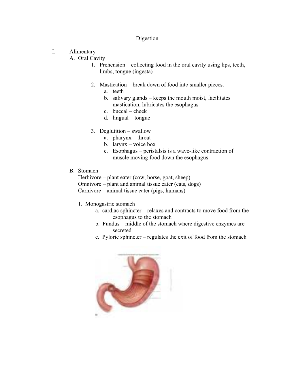 2. Mastication Break Down of Food Into Smaller Pieces