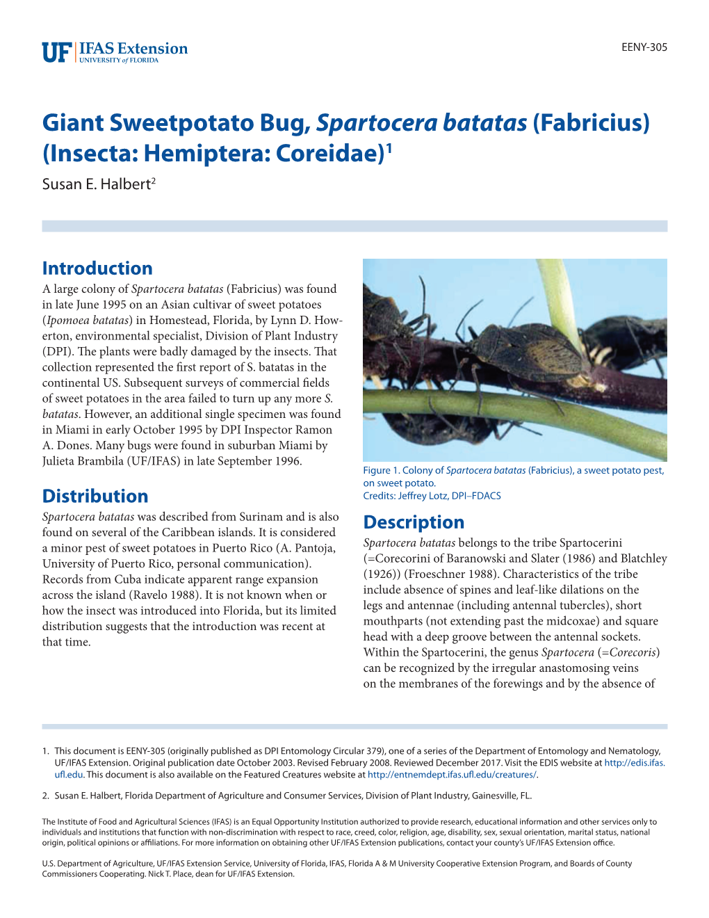 Giant Sweetpotato Bug, Spartocera Batatas (Fabricius) (Insecta: Hemiptera: Coreidae)1 Susan E