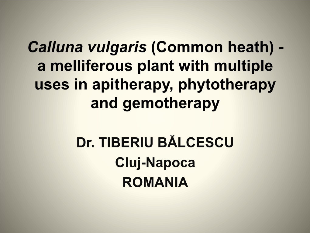 Calluna Vulgaris (Common Heath) - a Melliferous Plant with Multiple Uses in Apitherapy, Phytotherapy and Gemotherapy