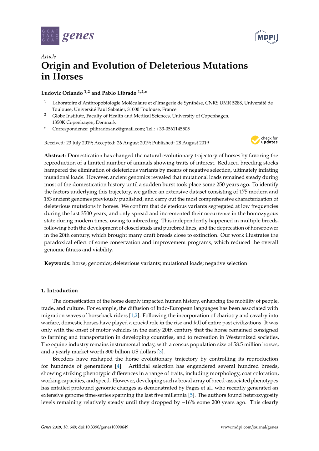 Origin and Evolution of Deleterious Mutations in Horses