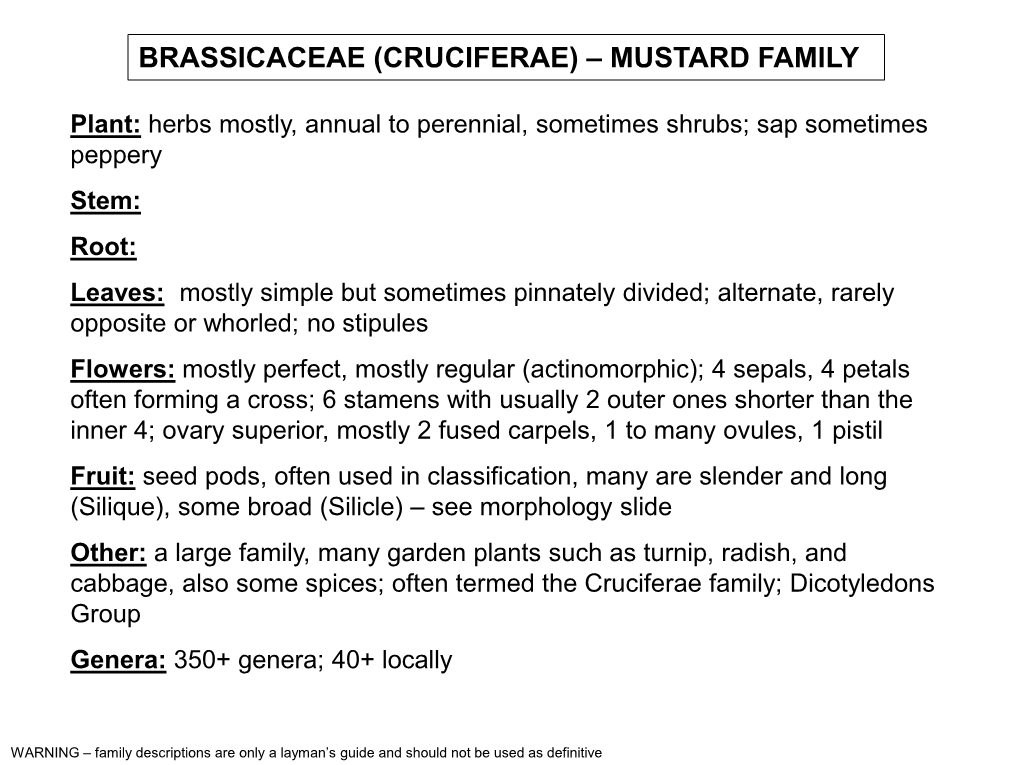 Brassicaceae (Cruciferae) – Mustard Family