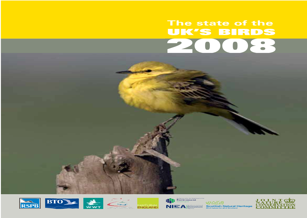 State of the UK's Birds 2008