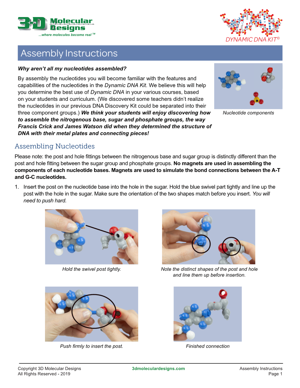 Dynamic DNA Kit© Assembly Instructions