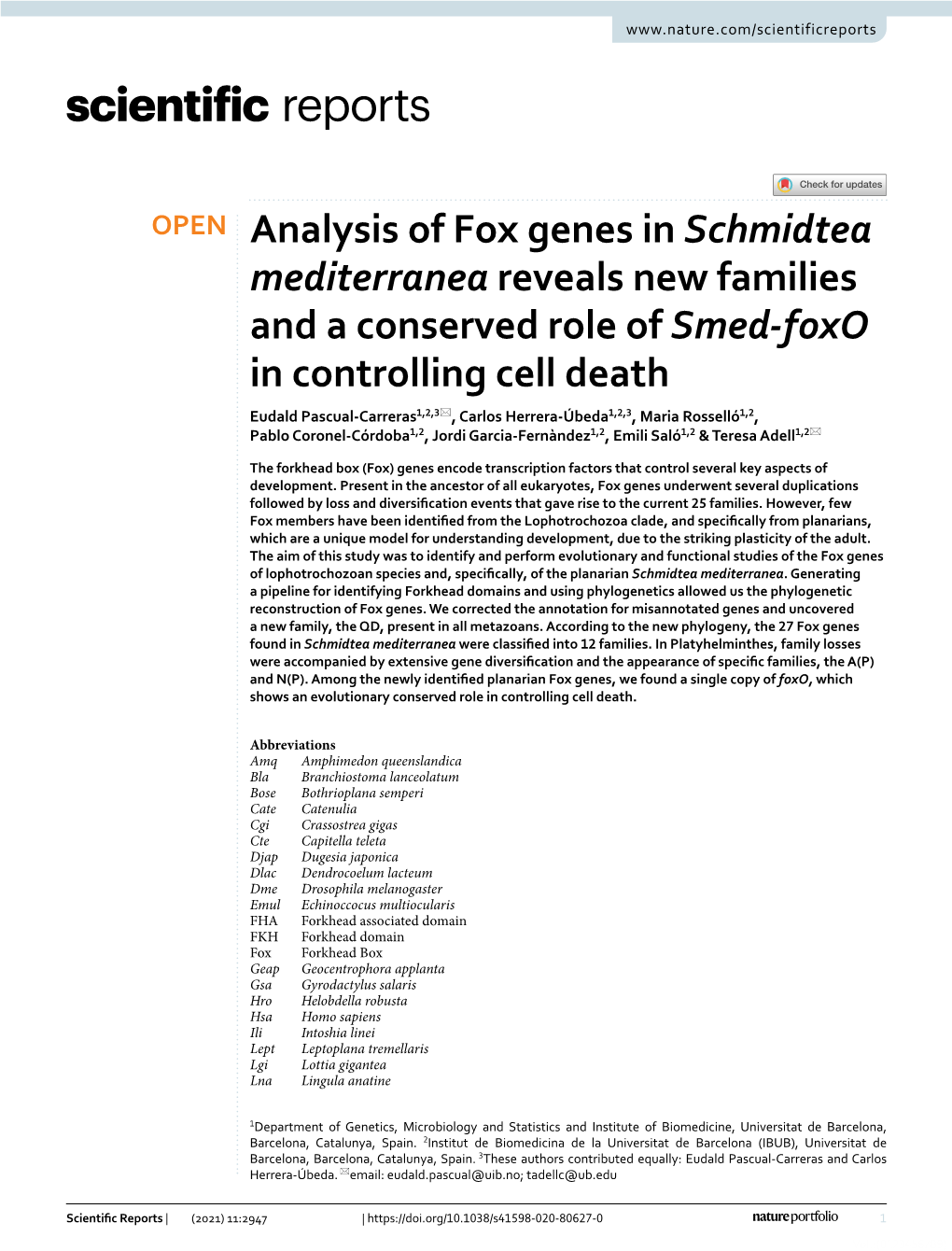 Analysis of Fox Genes in Schmidtea Mediterranea Reveals New Families