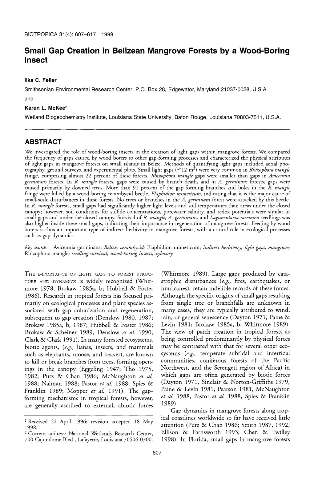 Small Gap Creation in Belizean Mangrove Forests by a Wood-Boring Insect1