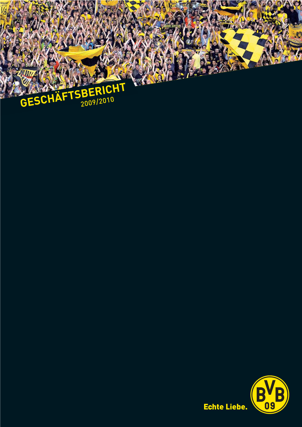 BVB Geschäftsbericht 2010