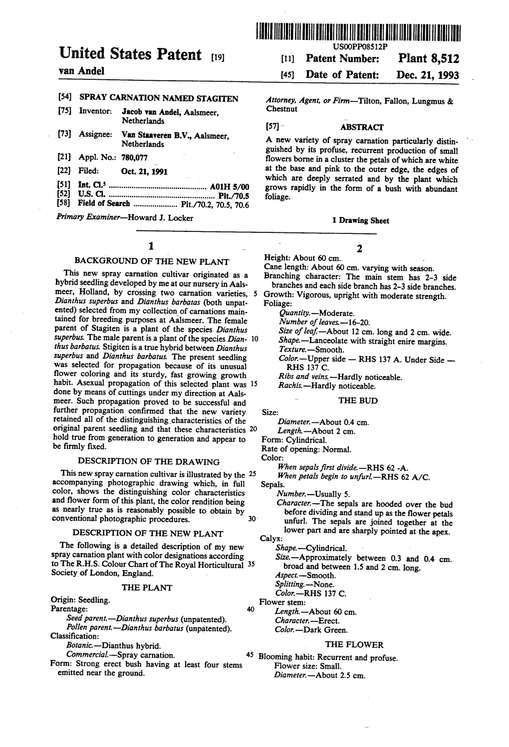 United States Patent (19) (11) Patent Number: Plant 8,512 Van Andel 45) Date of Patent: Dec