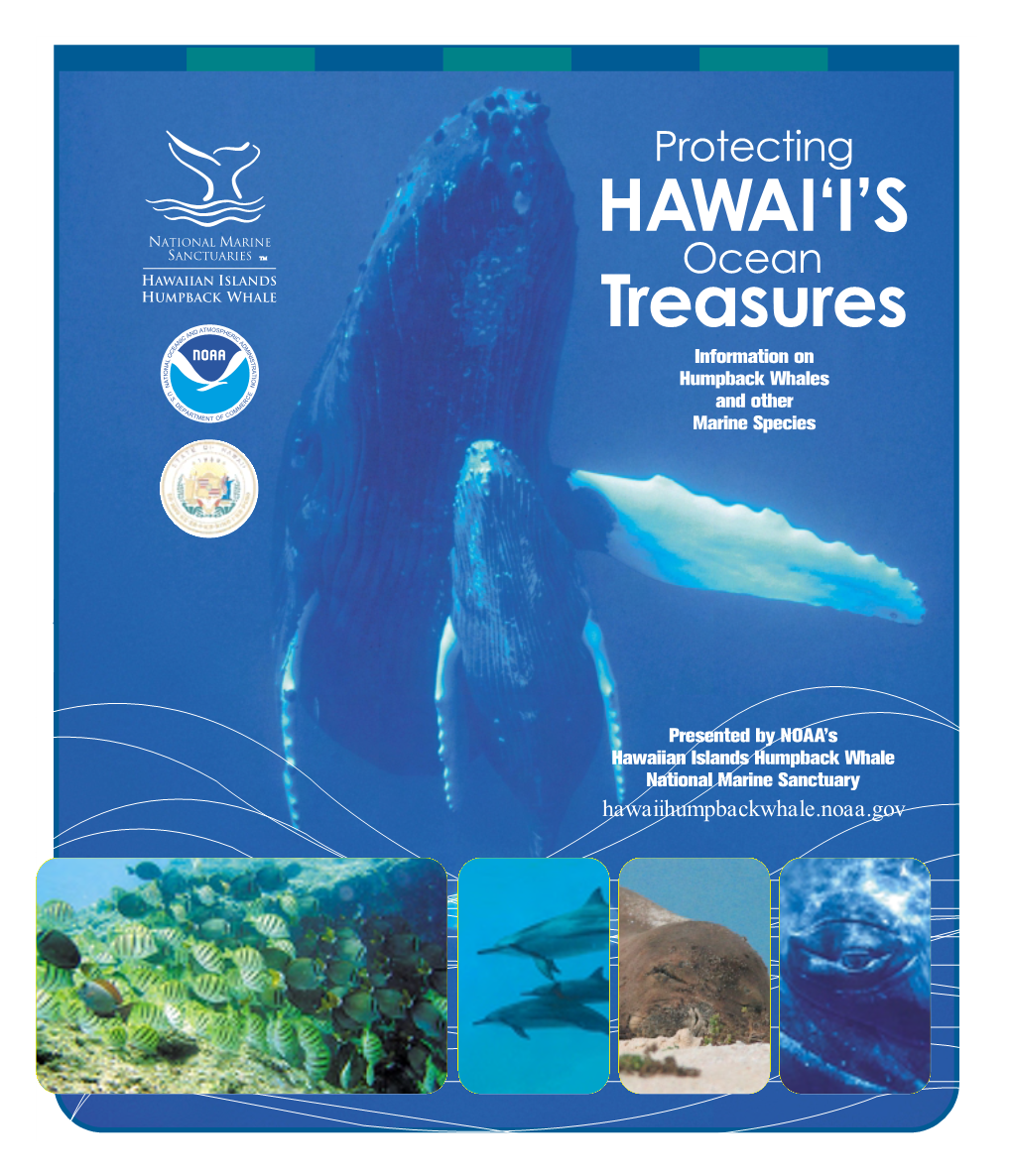 Protecting Hawaii Ocean Treasures