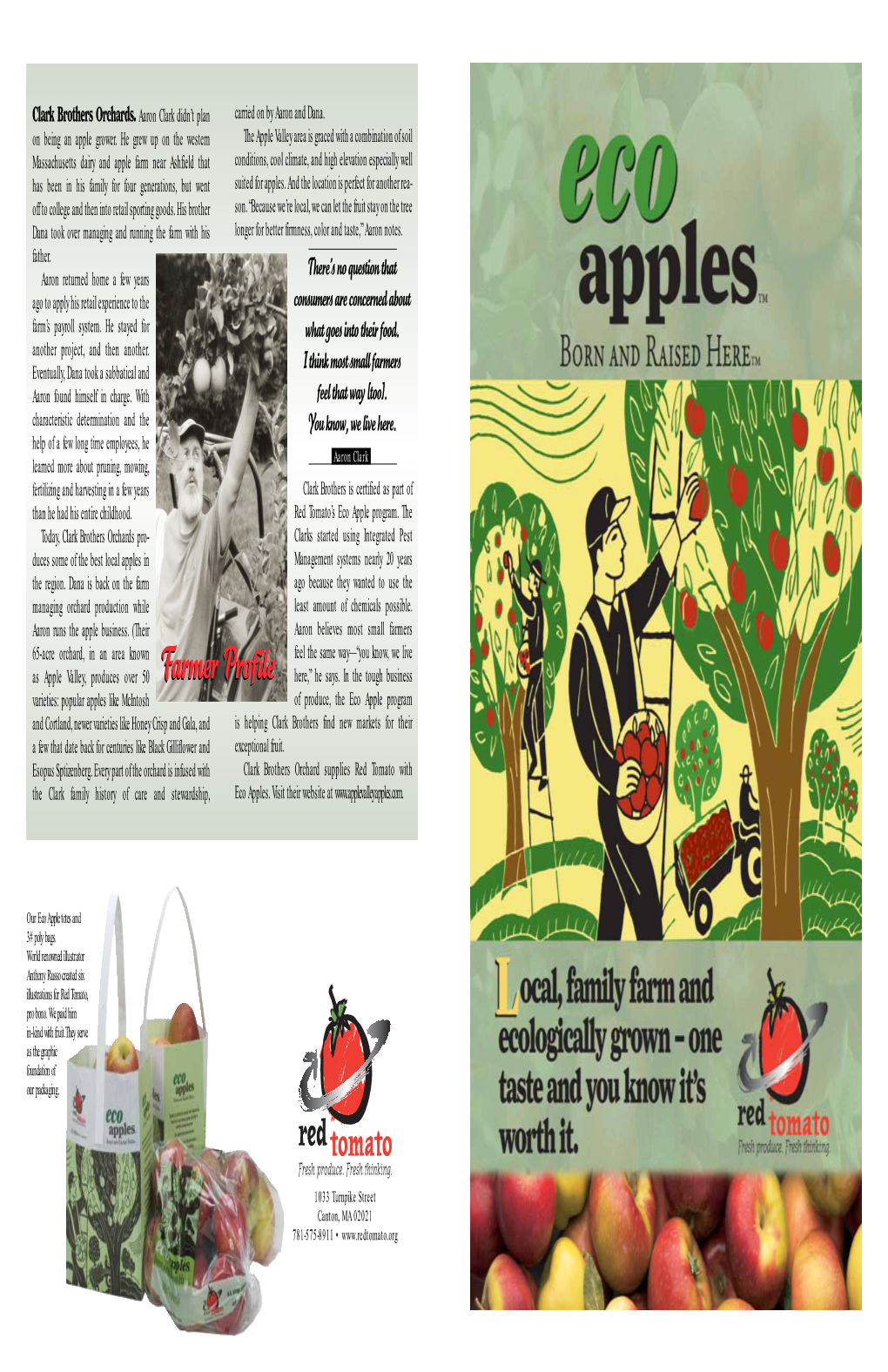 Eco Apple Story Brochure