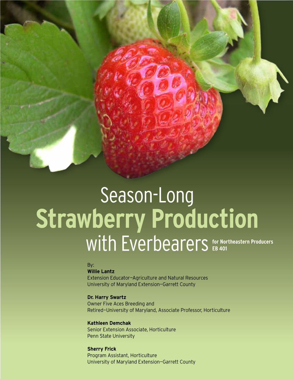 Strawberry Production