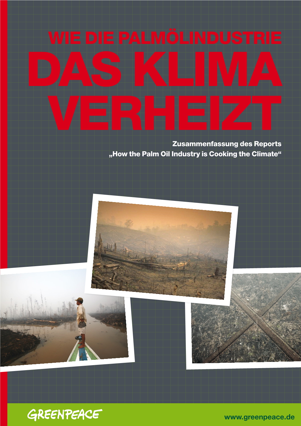 Wie Die Palmölindustrie DAS KLIMA VERHEIZT Zusammenfassung Des Reports „How the Palm Oil Industry Is Cooking the Climate“