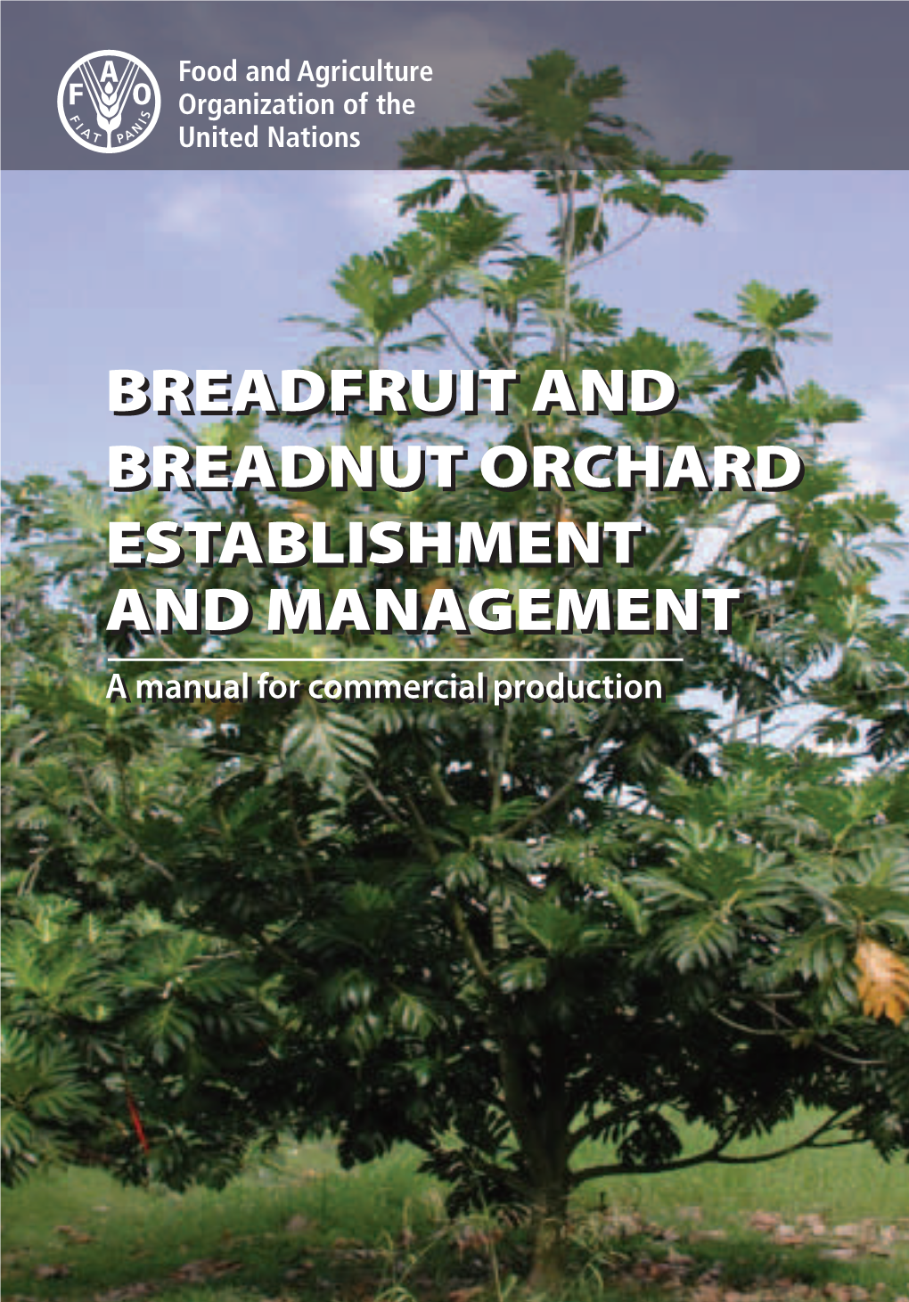 BREADFRUIT and BREADNUT ORCHARD ESTABLISHMENT and MANAGEMENT a Manual for Commercial Production