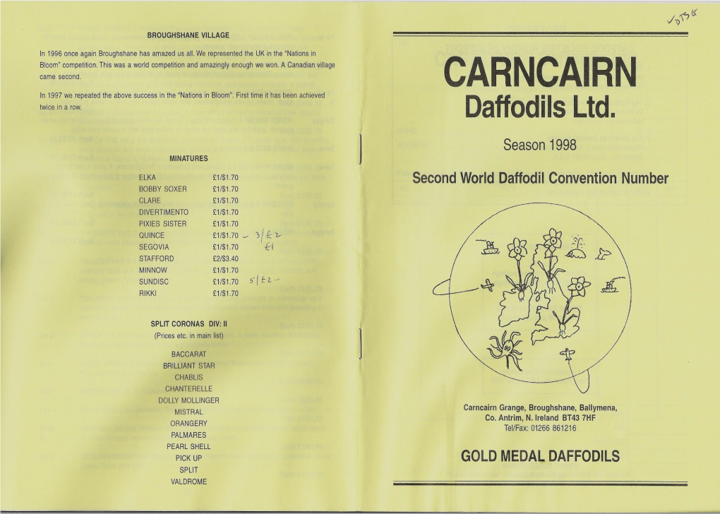 CARNCAIRN in 1997 We Repeated the Above Success in the "Nations in Bloom"