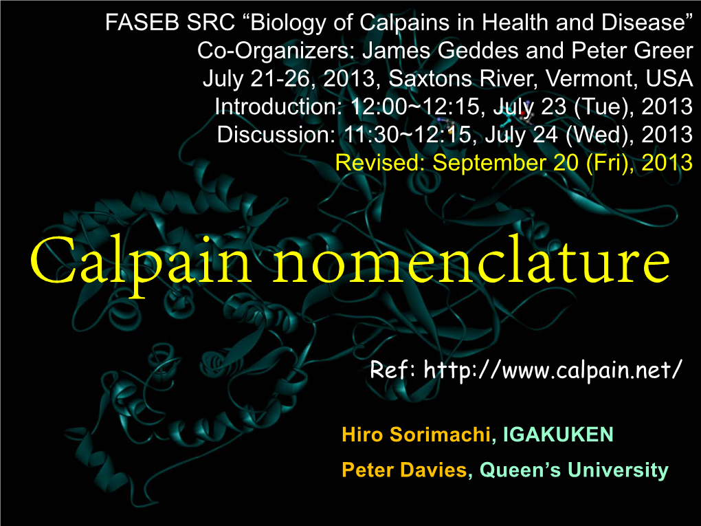 FASEB SRC “Biology of Calpains in Health and Disease” Co-Organizers: James Geddes and Peter Greer July 21-26, 2013, Saxtons