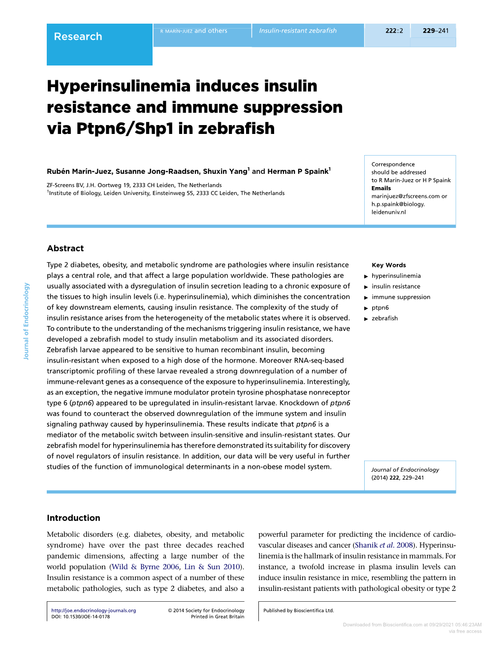Hyperinsulinemia Induces Insulin Resistance and Immune Suppression Via Ptpn6/Shp1 in Zebraﬁsh