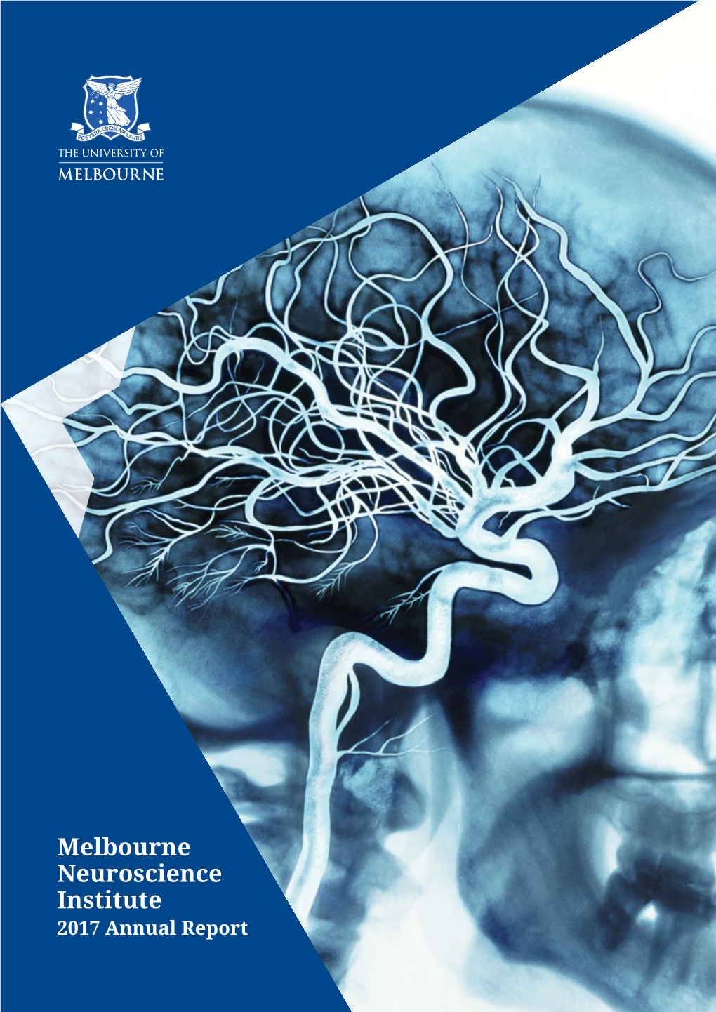 Melbourne Neuroscience Institute 2017 Annual Report