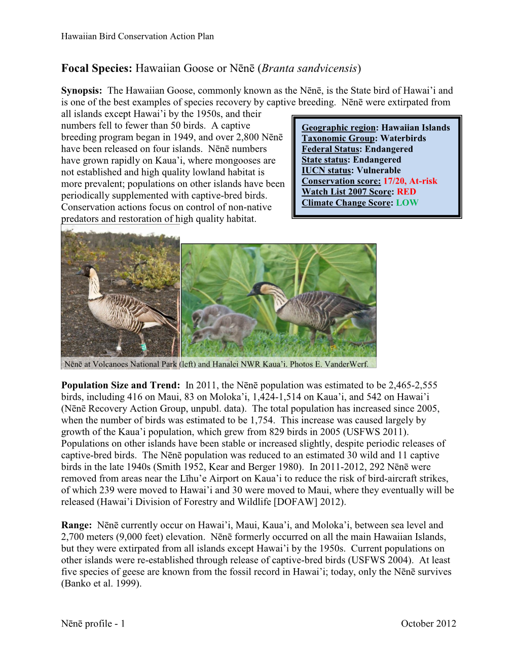 Focal Species: Hawaiian Goose Or Nēnē (Branta Sandvicensis)