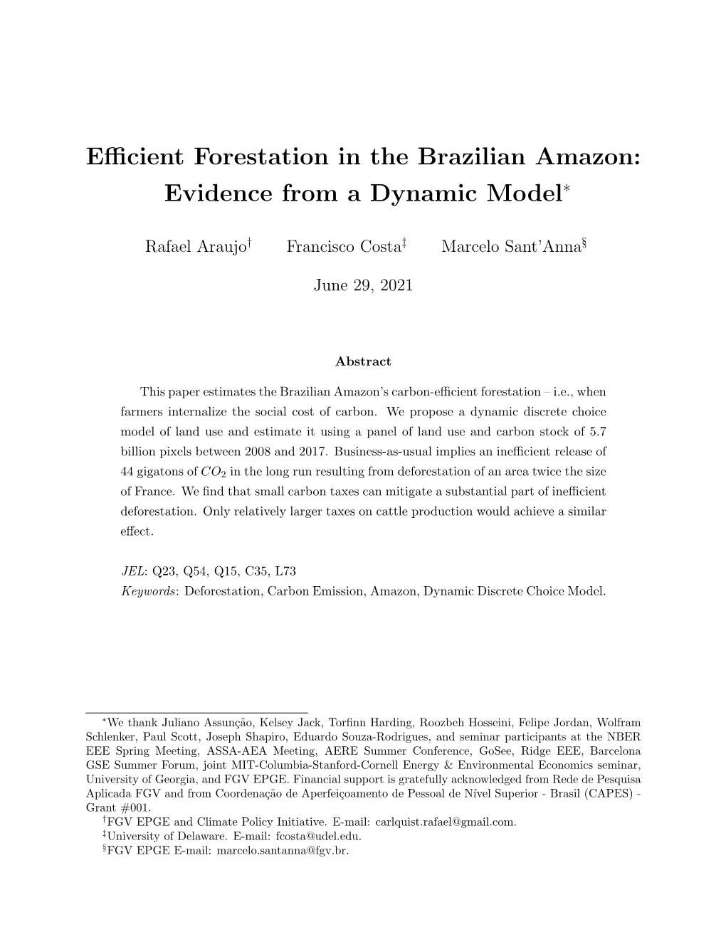 Efficient Forestation in the Brazilian Amazon
