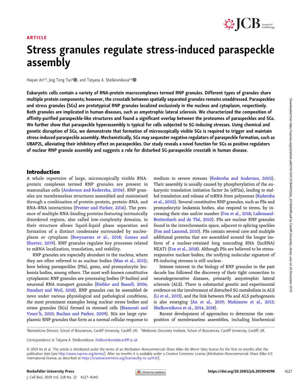 Stress Granules Regulate Stress-Induced Paraspeckle Assembly