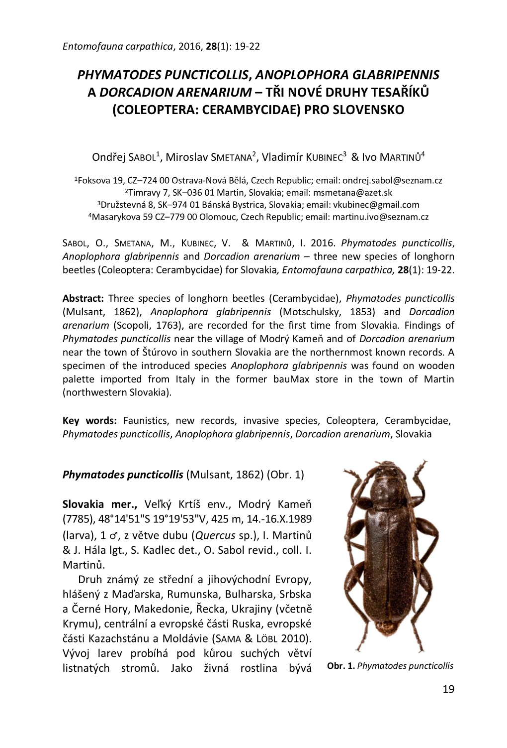 Phymatodes Puncticollis, Anoplophora Glabripennis a Dorcadion Arenarium – Tři Nové Druhy Tesaříků (Coleoptera: Cerambycidae) Pro Slovensko