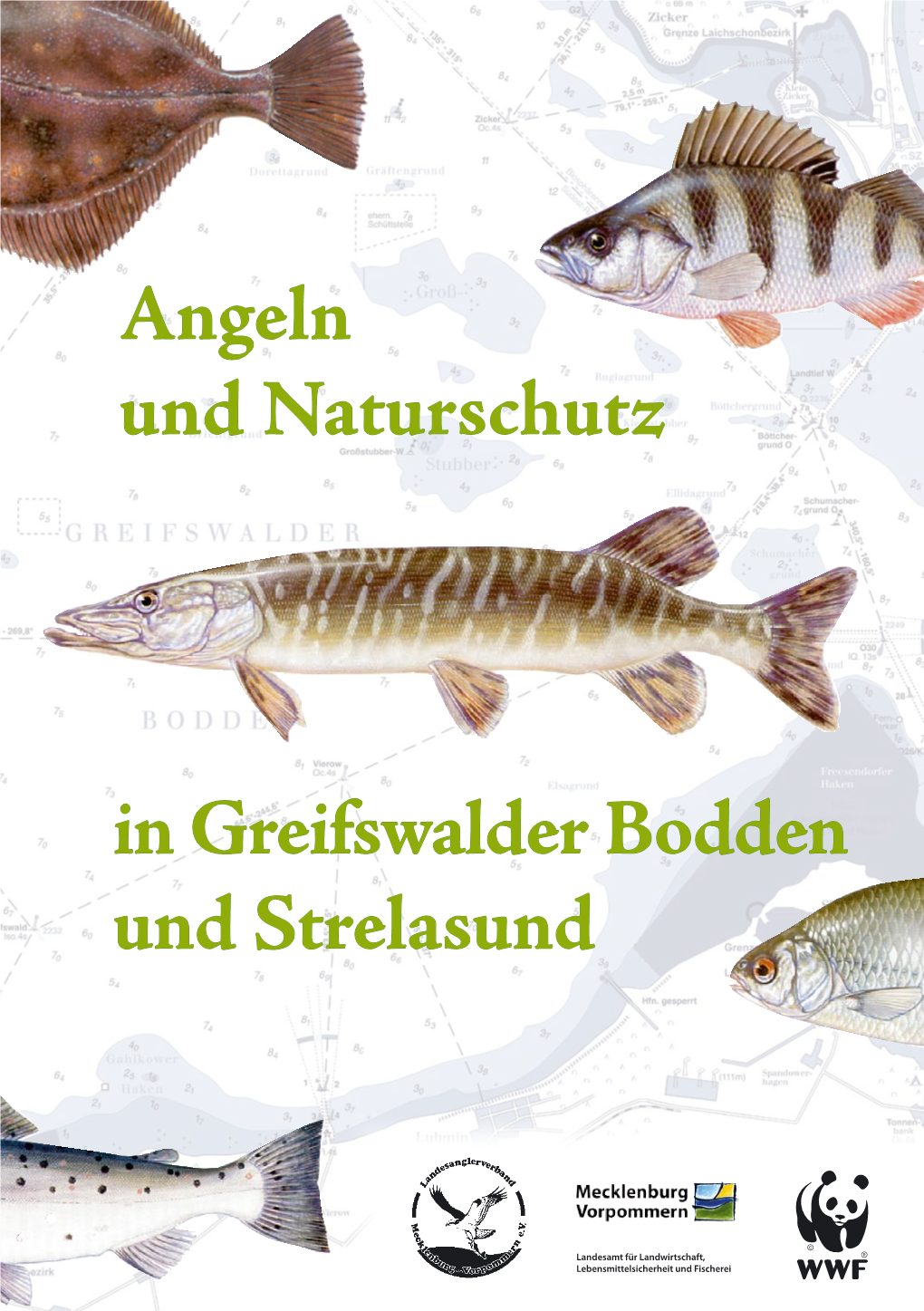 Angeln Und Naturschutz in Greifswalder Bodden Und Strelasund