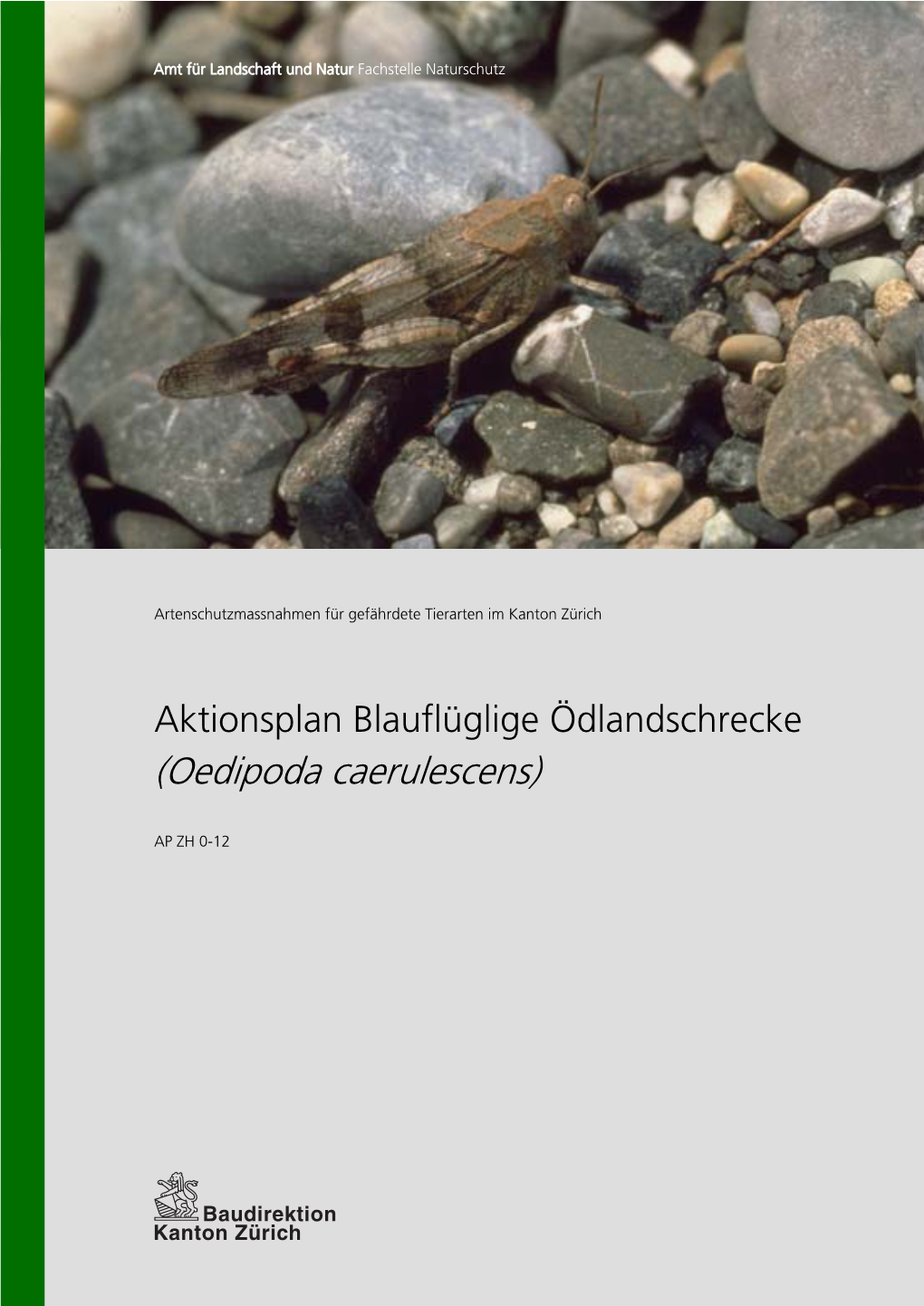 Aktionsplan Oedipoda Caerulescens (Blauflüglige Ödlandschrecke)