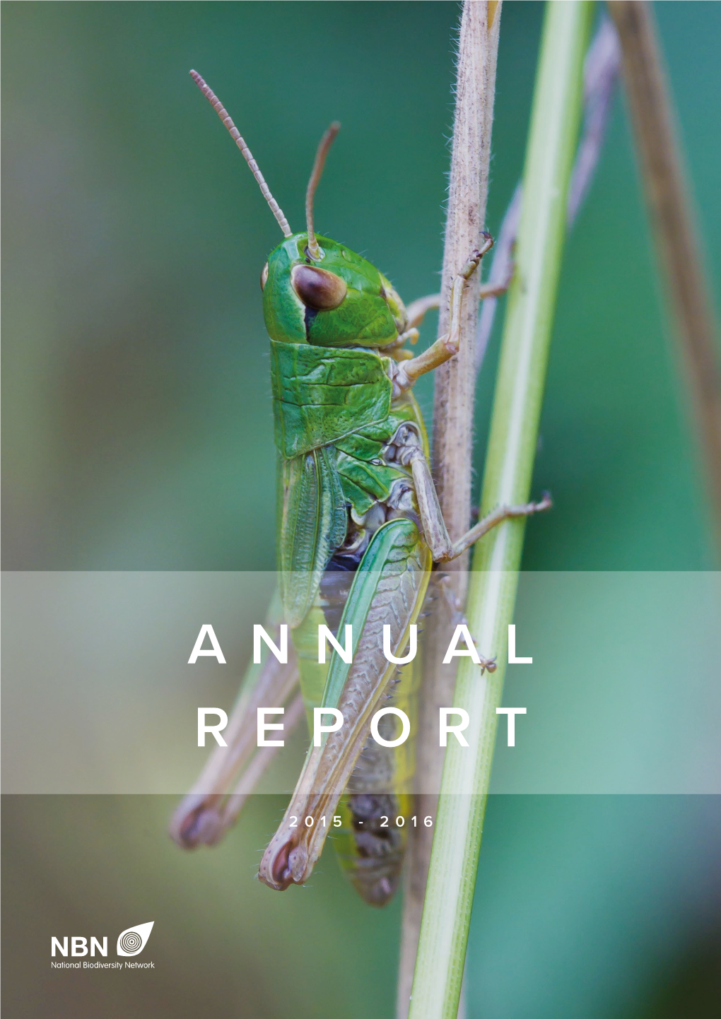 Annual Report