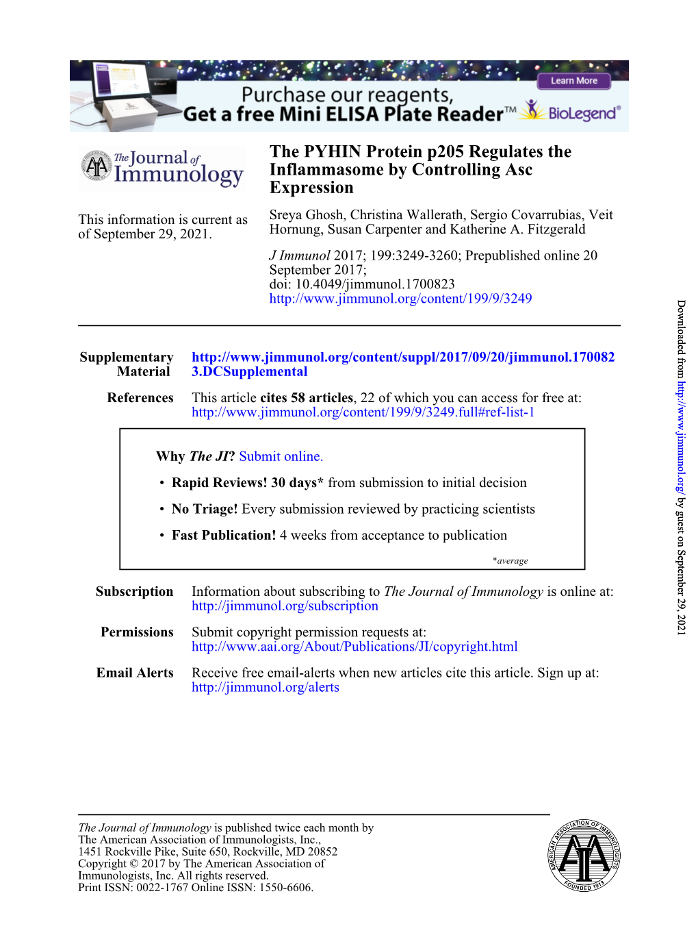 The PYHIN Protein P205 Regulates the Inflammasome by Controlling Asc Expression