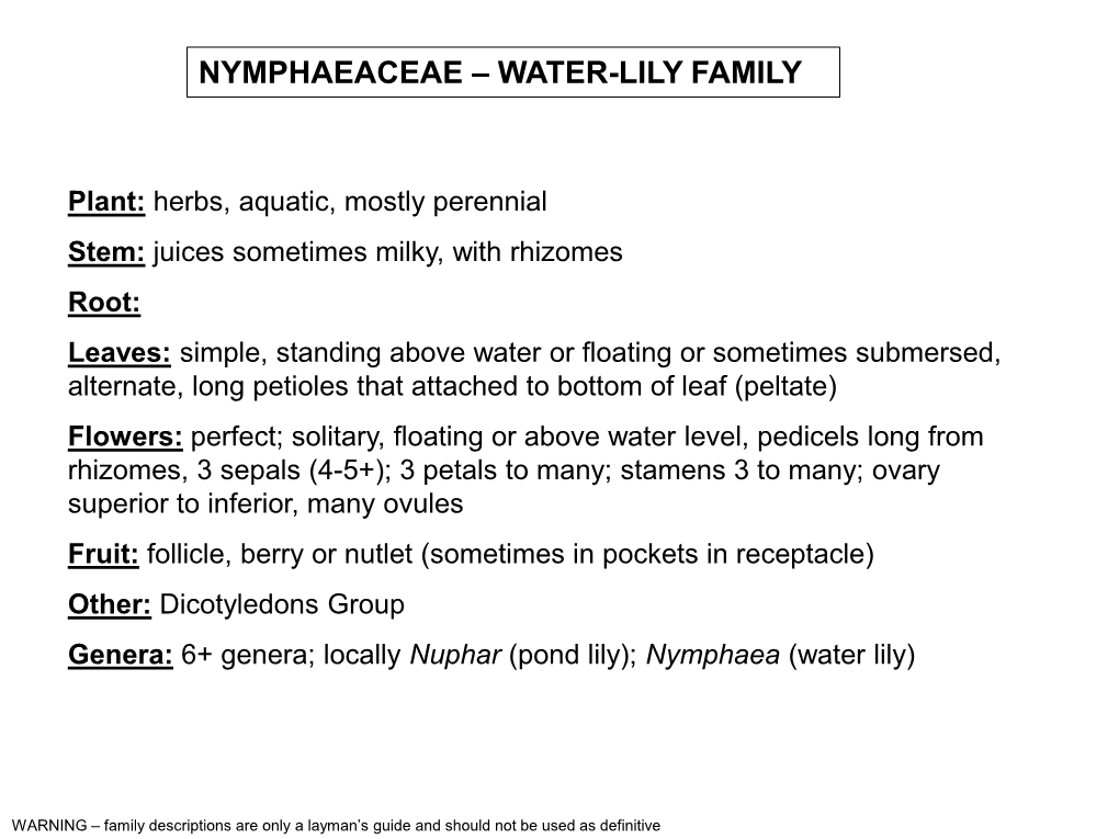 Nymphaeaceae – Water-Lily Family