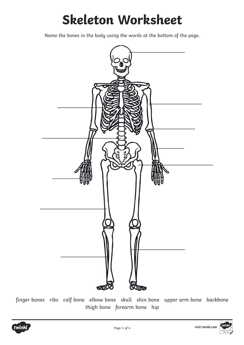 Skeleton Worksheet