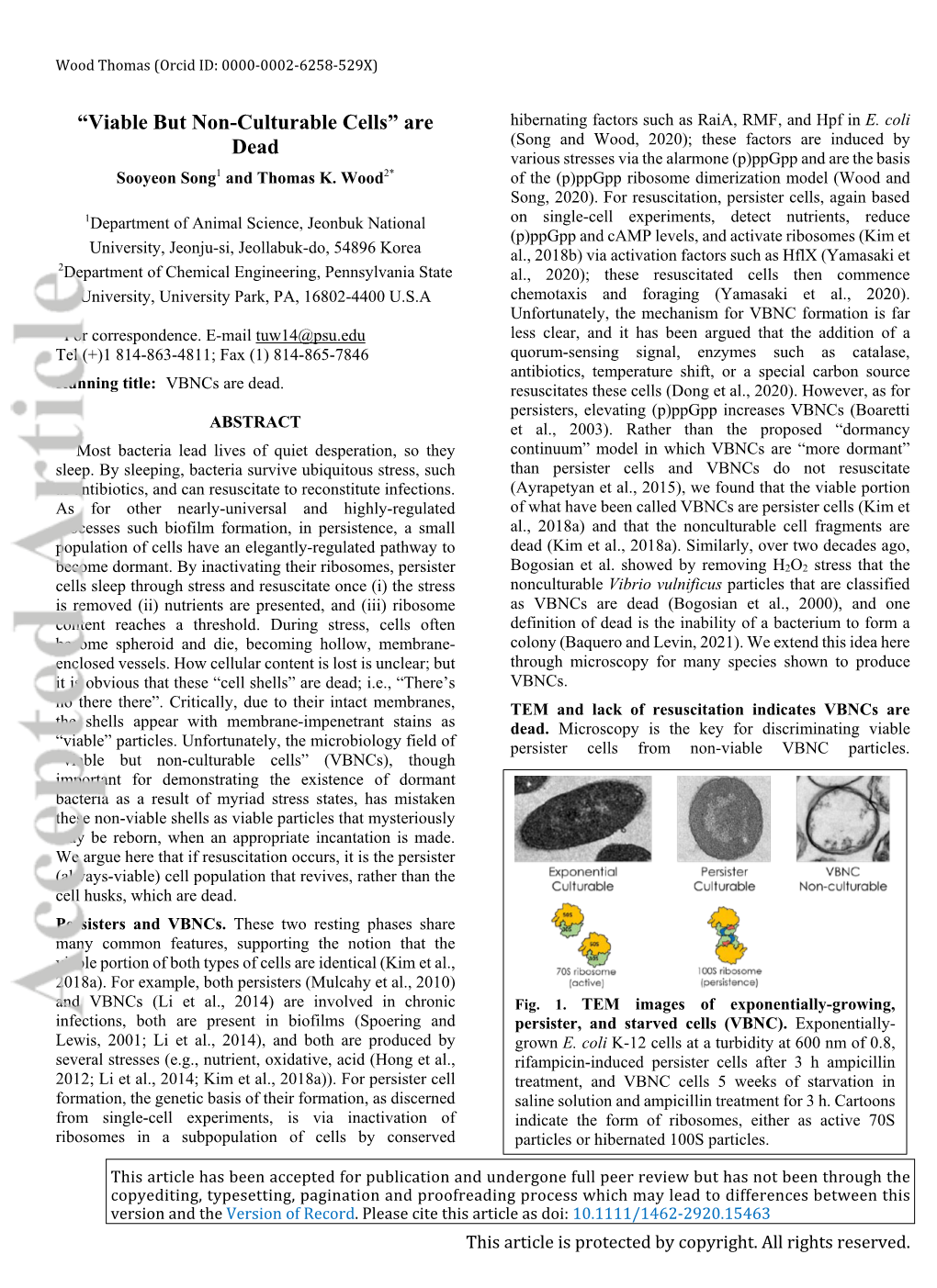 Viable but Non-Culturable Cells Are Dead