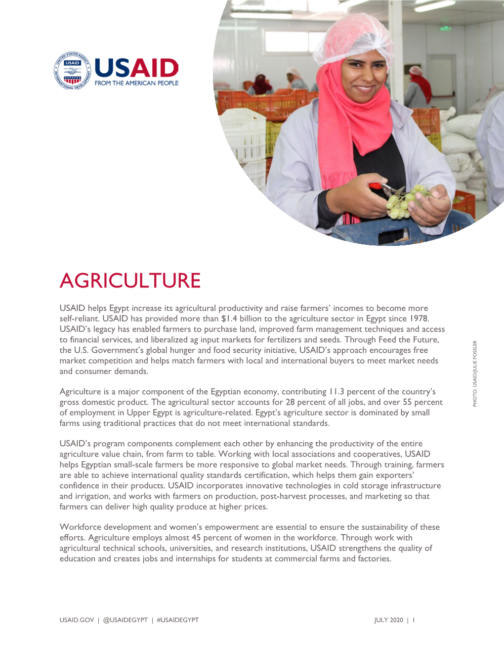 USAID/Egypt Fact Sheet