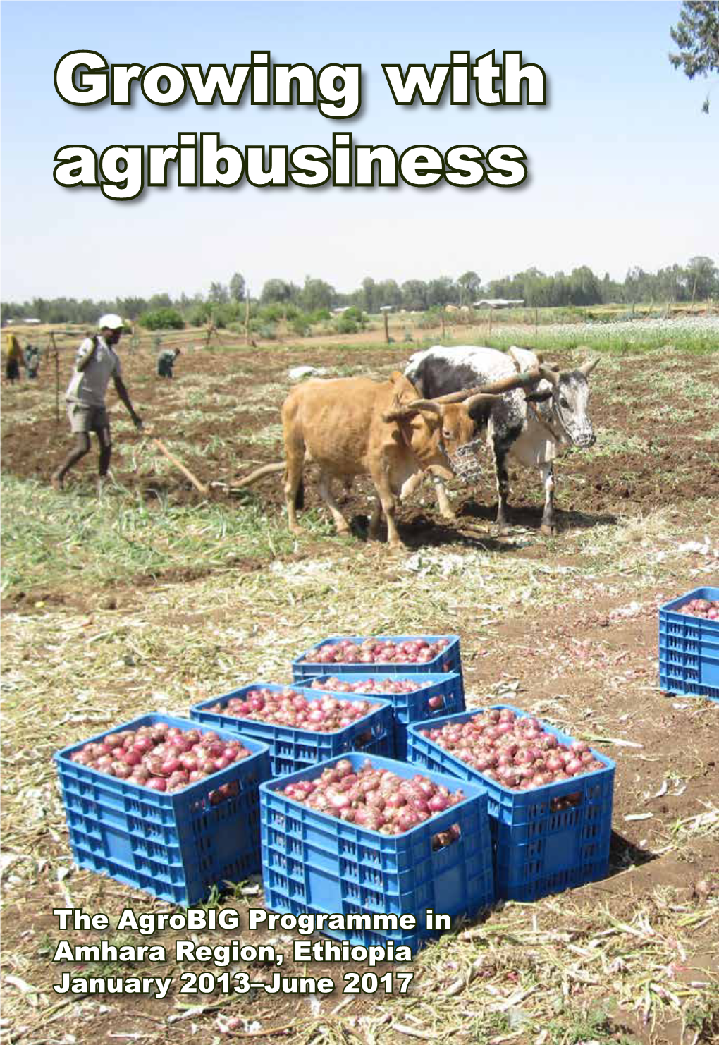 Growing with Agribusiness