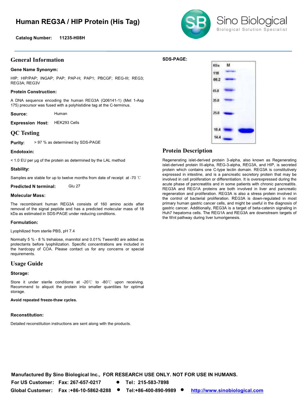 Human REG3A / HIP Protein (His Tag)