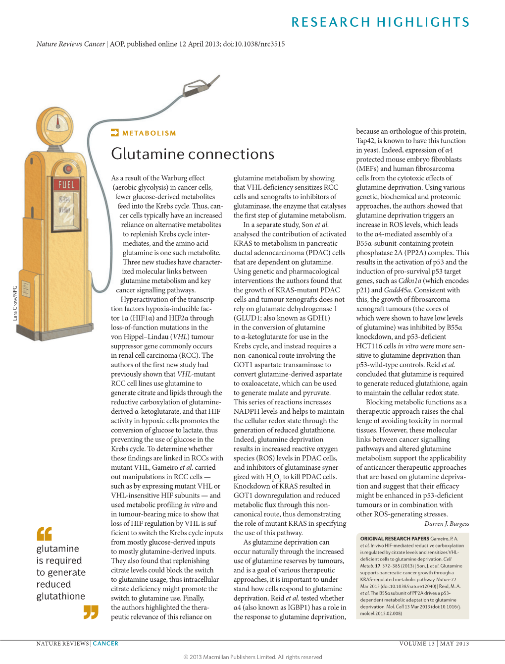 Glutamine Connections