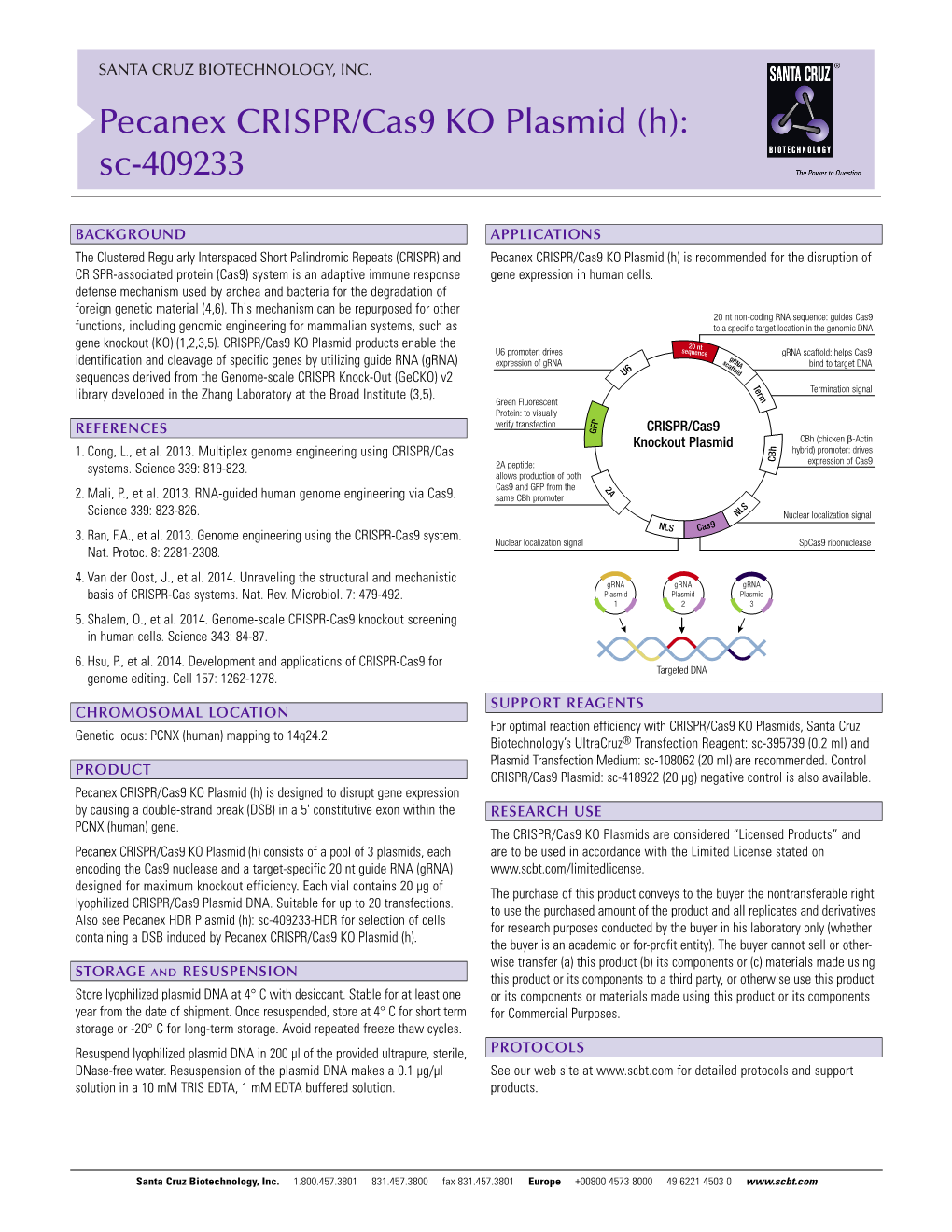 Pecanex CRISPR/Cas9 KO Plasmid (H): Sc-409233