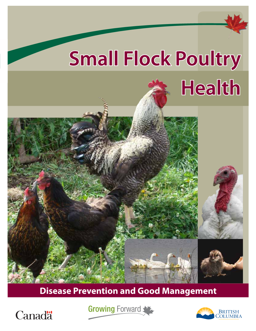 Small Flock Poultry Health Manual Has Been Funded by Growing Forward, a Federal, Provincial, Territorial Initiative