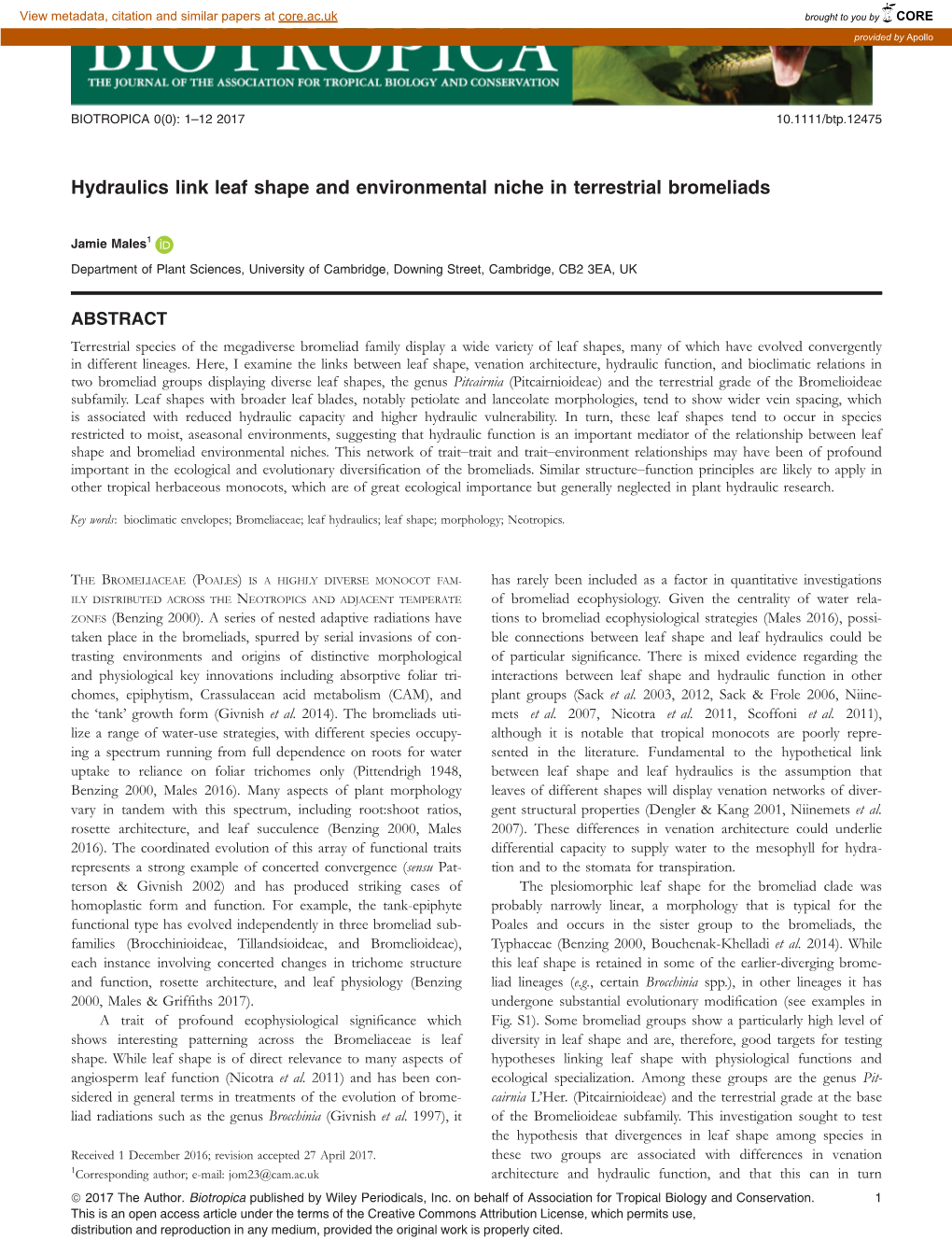 Hydraulics Link Leaf Shape and Environmental Niche in Terrestrial Bromeliads