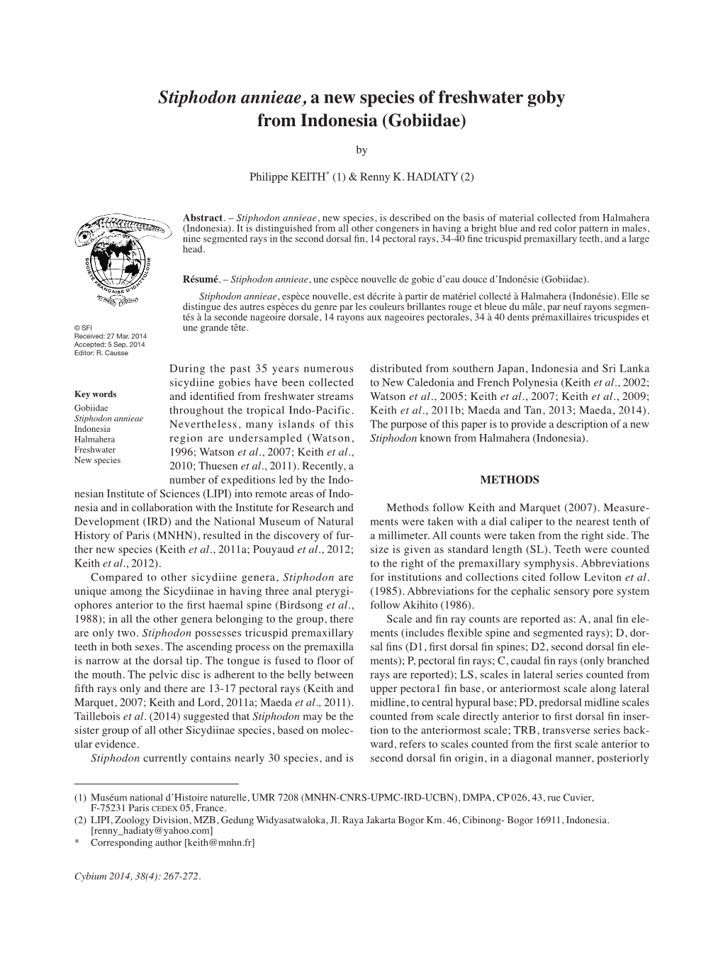 Stiphodon Annieae, a New Species of Freshwater Goby from Indonesia (Gobiidae)