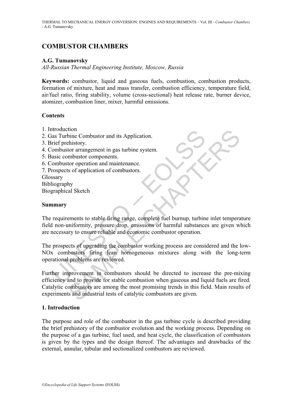 Combustor Chambers - A.G