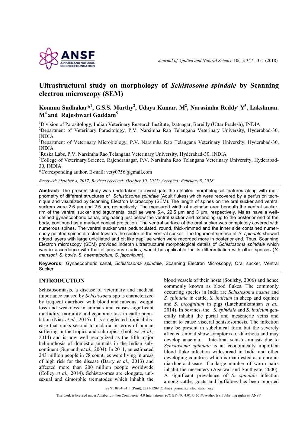 Ultrastructural Study on Morphology of Schistosoma Spindale by Scanning Electron Microscopy (SEM)