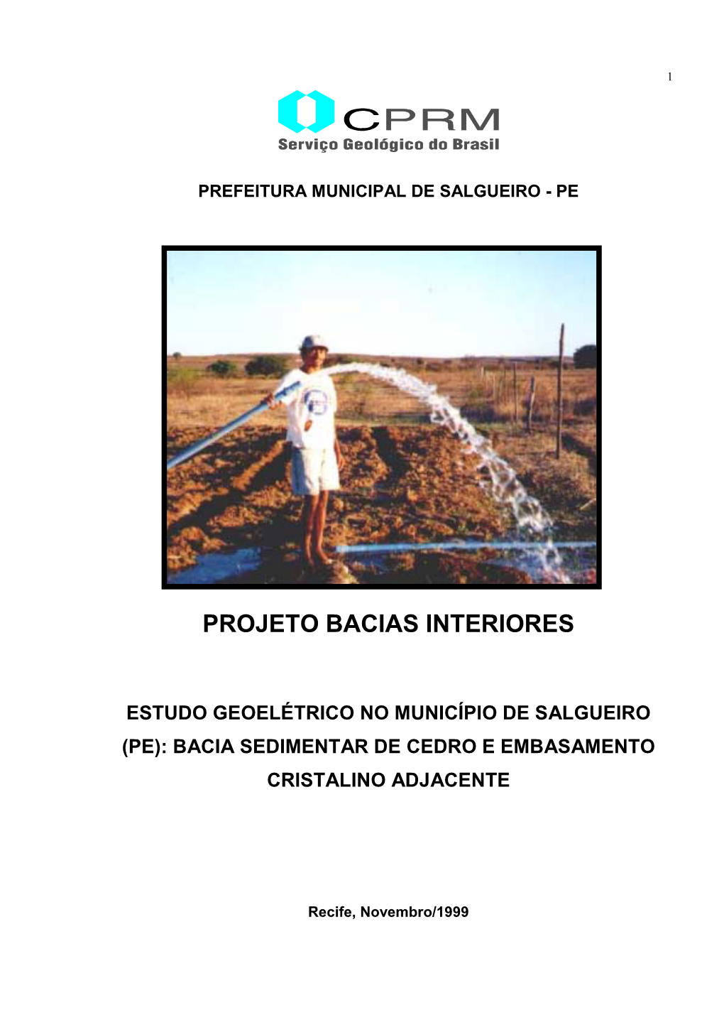 Estudo Geoelétrico No Município De Salgueiro (Pe): Bacia Sedimentar De Cedro E Embasamento Cristalino Adjacente