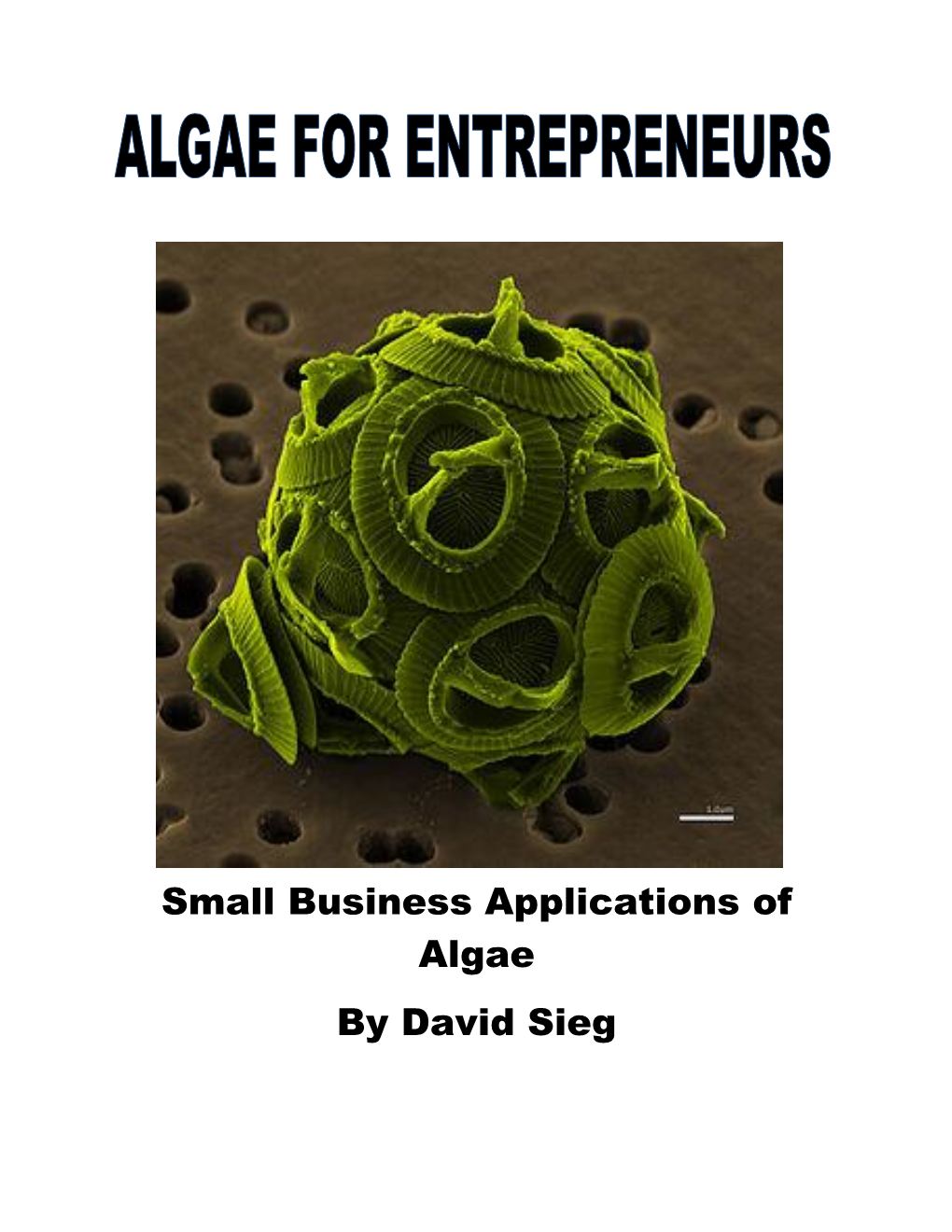 Algae for Entrepreneurs by David Sieg