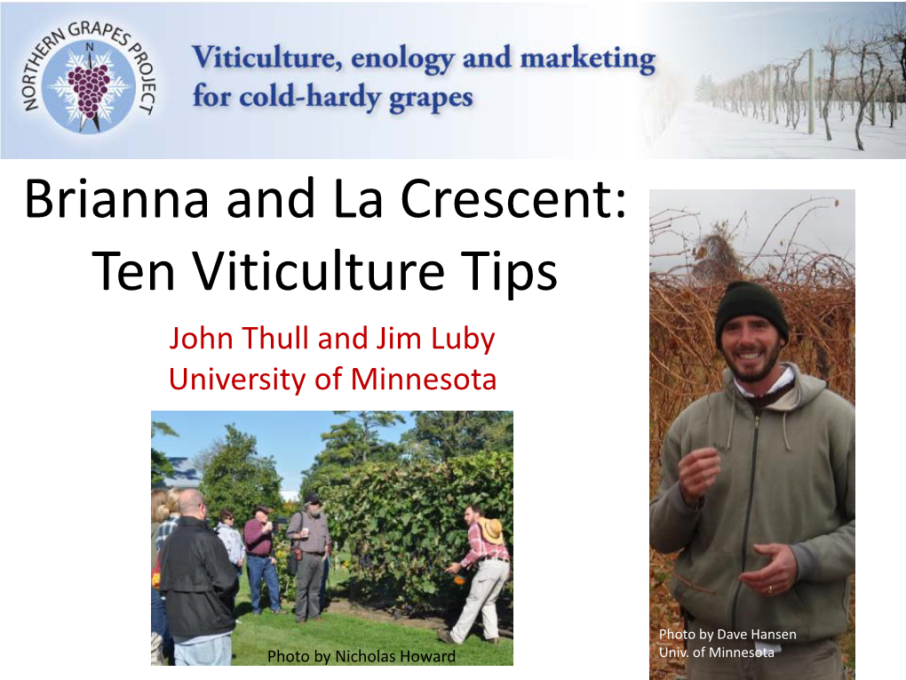 Brianna and La Crescent: Ten Viticulture Tips John Thull and Jim Luby University of Minnesota