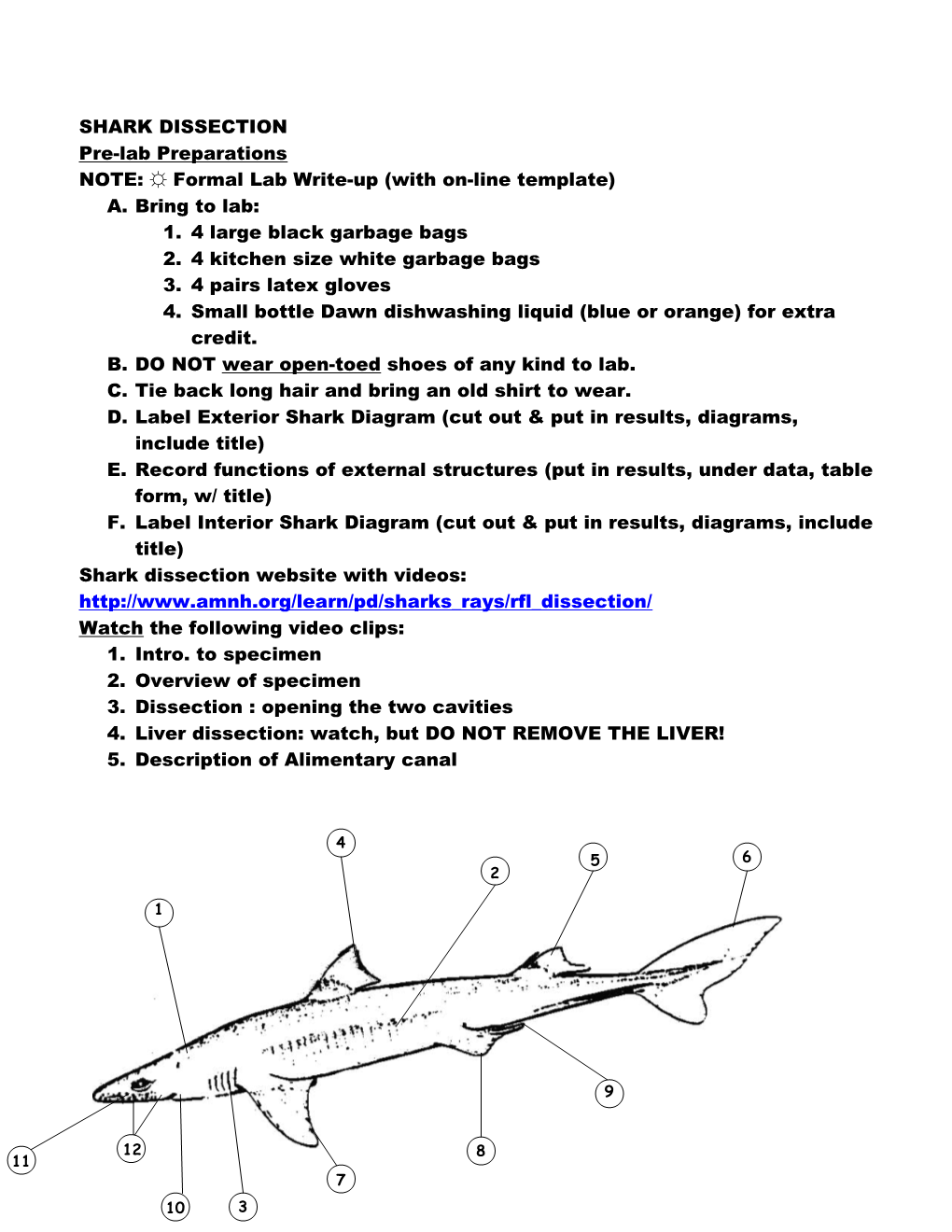 NOTE: Formal Lab Write-Up (With On-Line Template)