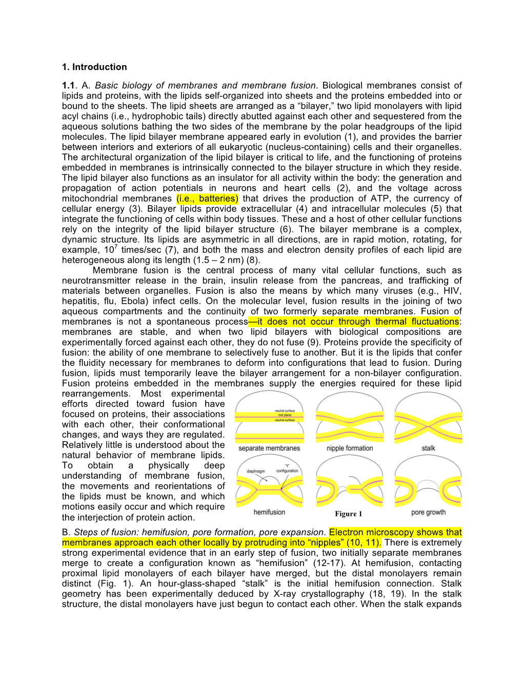 1. Introduction 1.1. A. Basic Biology of Membranes and Membrane Fusion. Biological Membranes Consist of Lipids and Proteins